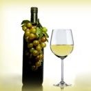 Du betrachtest gerade Pinot Grigio 0,75l